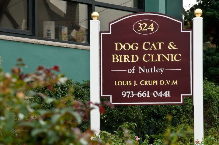 Dog Cat & Bird Clinic of Nutley