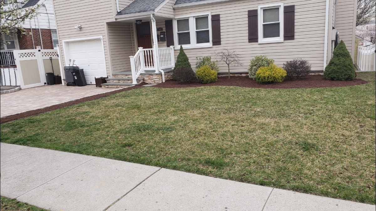 All green nature Landscaping & Lawn care LLC