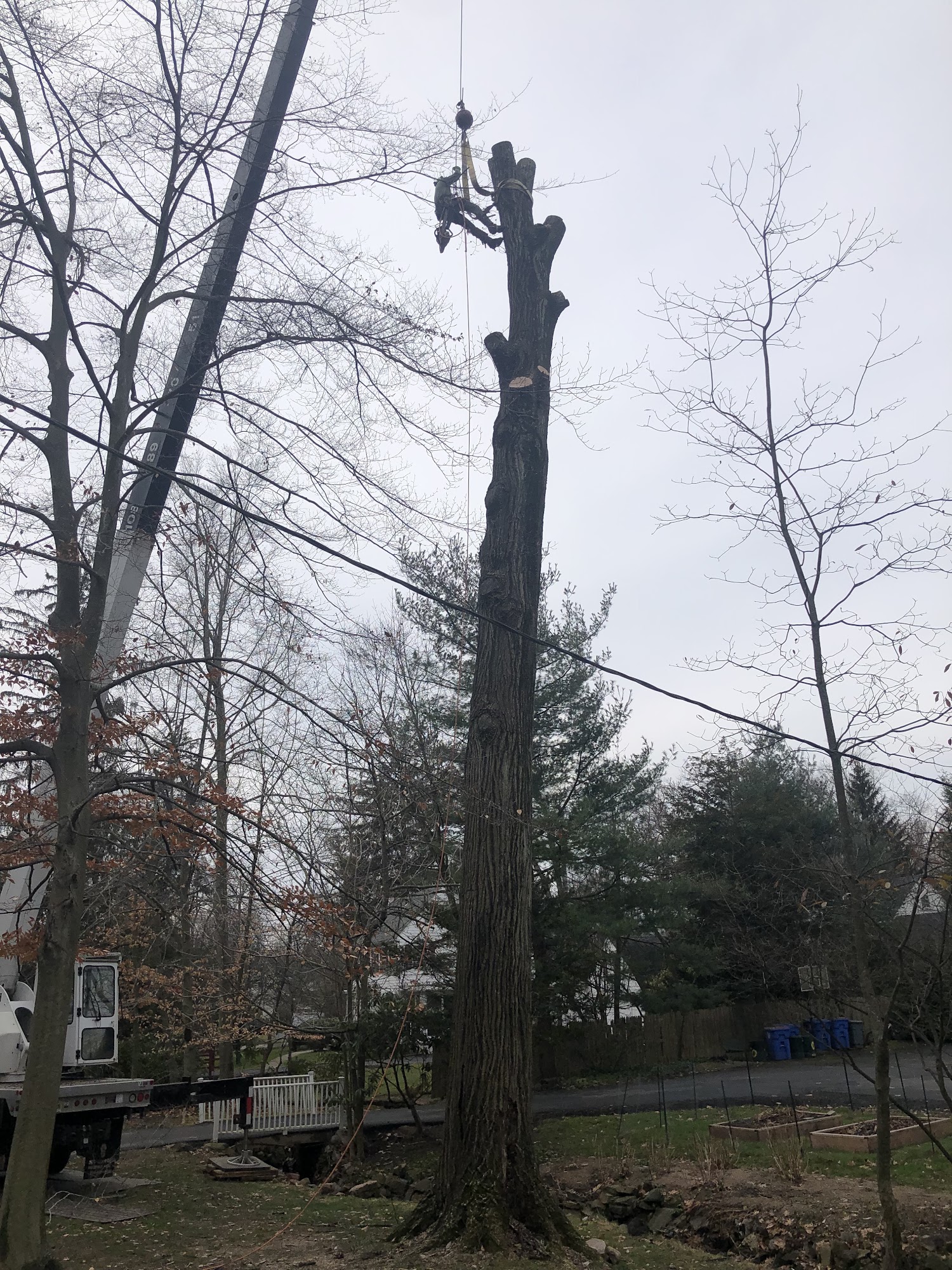 Arrow Tree Service 188 Old Tappan Rd, Old Tappan New Jersey 07675