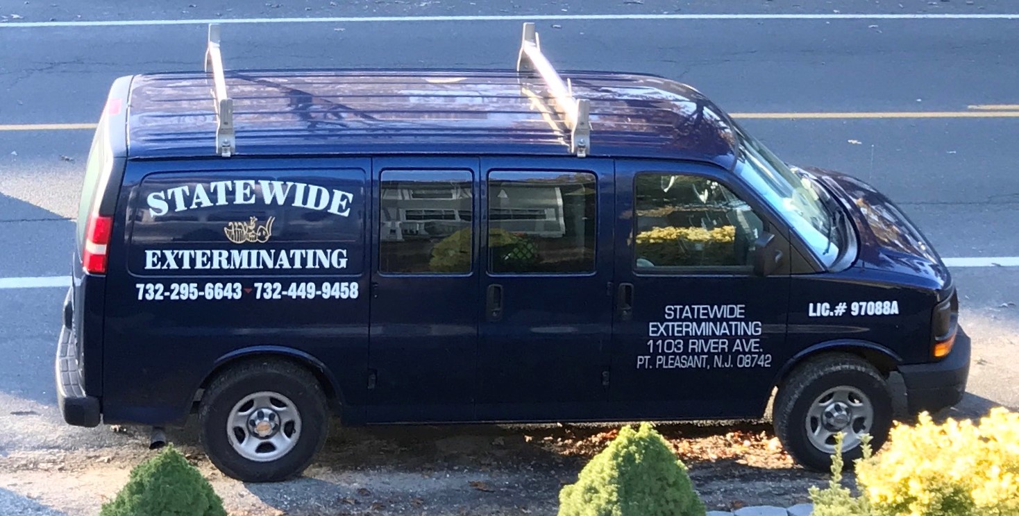 Statewide Exterminating NJ