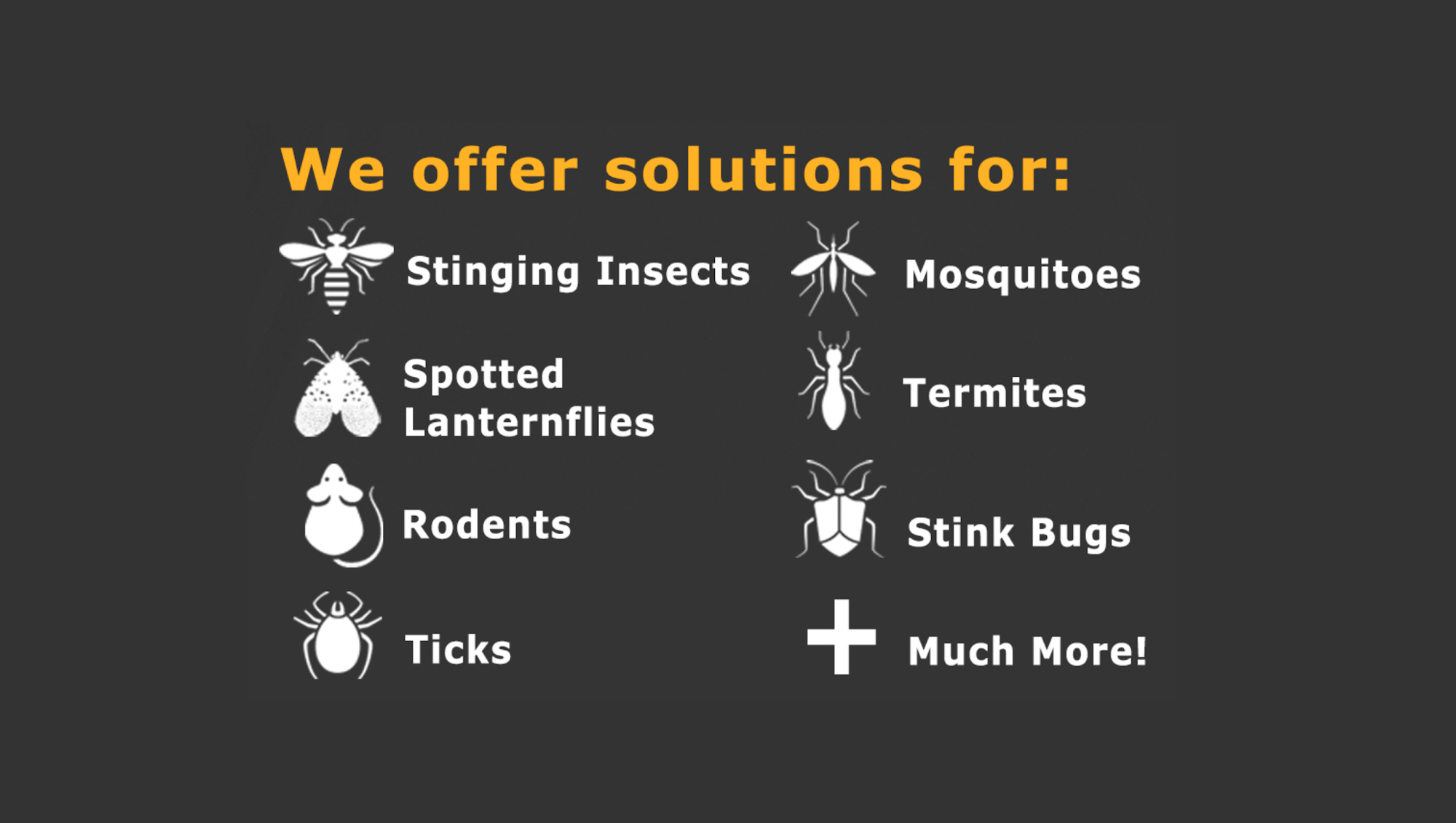 Simply The Best Pest Control