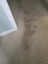 Lazarian Carpet