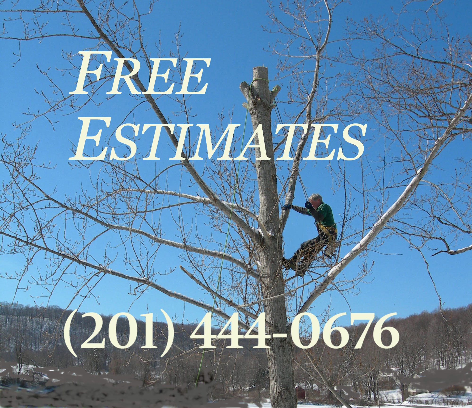 Arborman Tree Service & Stump Removal Co 234 Rivervale Rd, River Vale New Jersey 07675