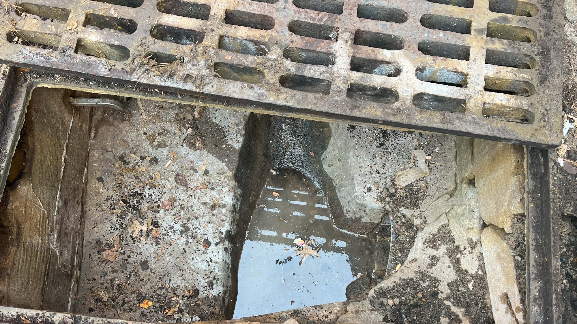 RDH Plumbing Sewer & Drain Specialist
