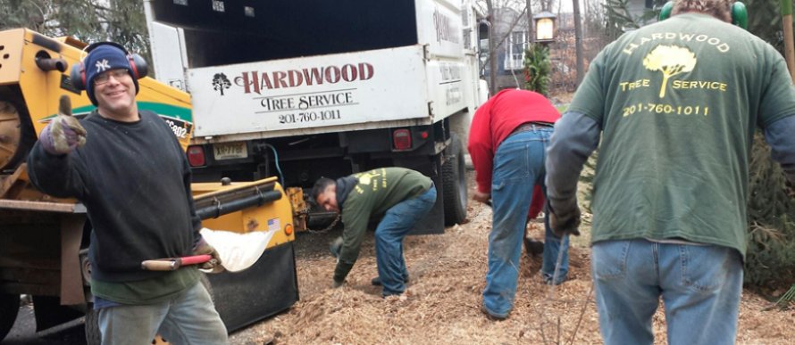 Hardwood Tree Services 67 W Saddle River Rd, Saddle River New Jersey 07458