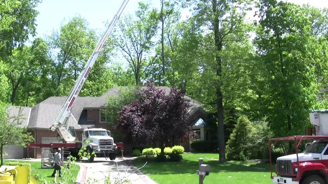 Montgomery Tree Removal 136 Witherspoon St, Skillman New Jersey 08558