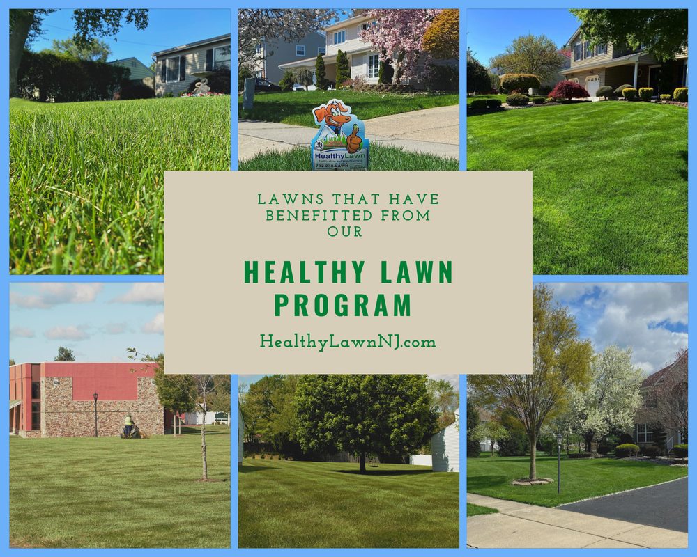 Healthy Lawn 411 Whitehead Ave # 4, South River New Jersey 08882