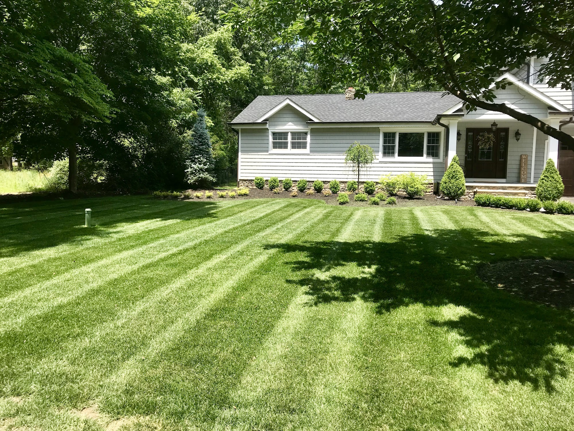 TLC Lawn Maintenance, LLC