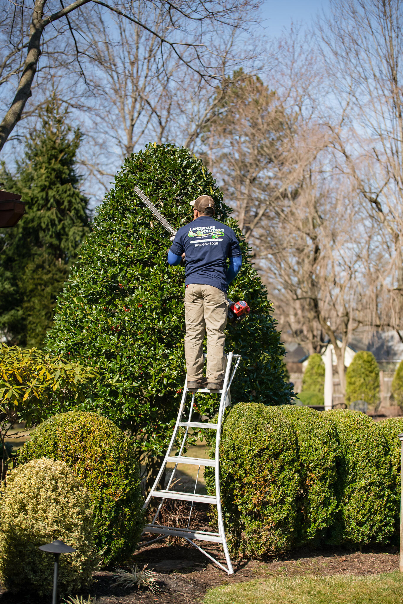 Photo credit: nextdoor