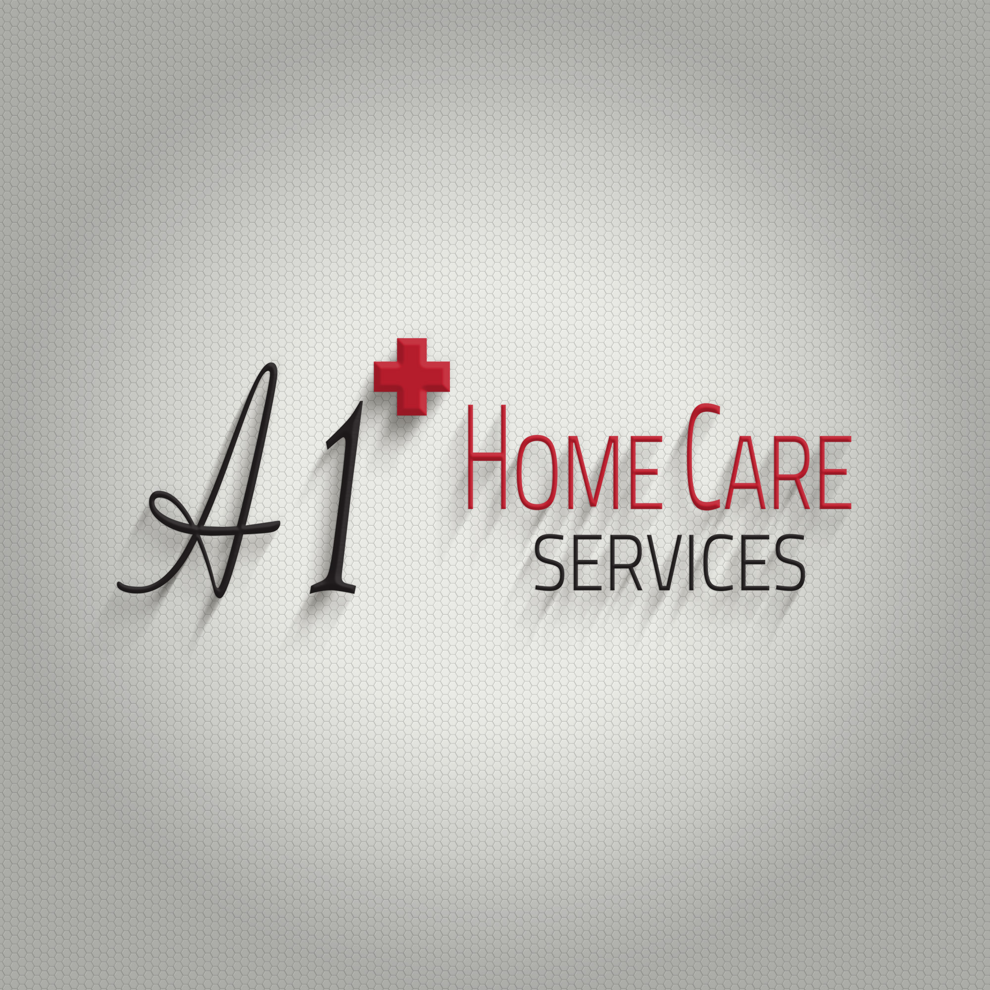 A1 Plus Home Care Services