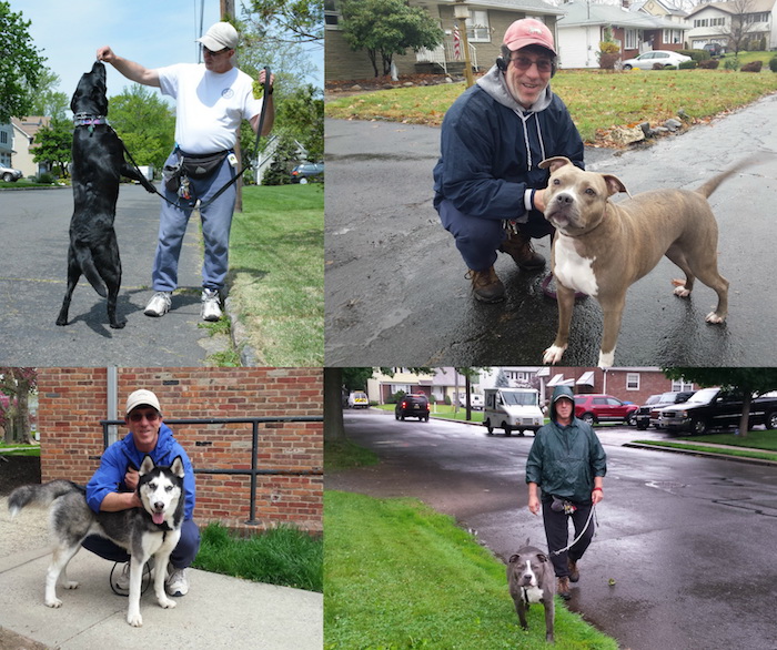 Sal's Pals Westfield