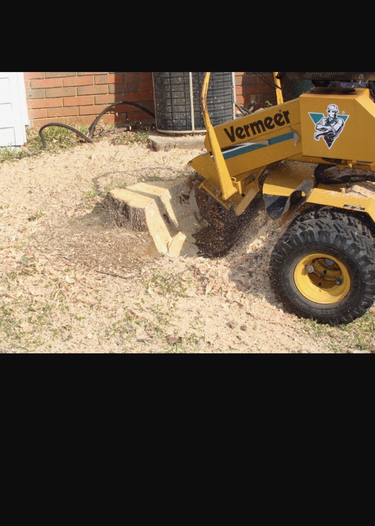 Stump Grinding by Precision