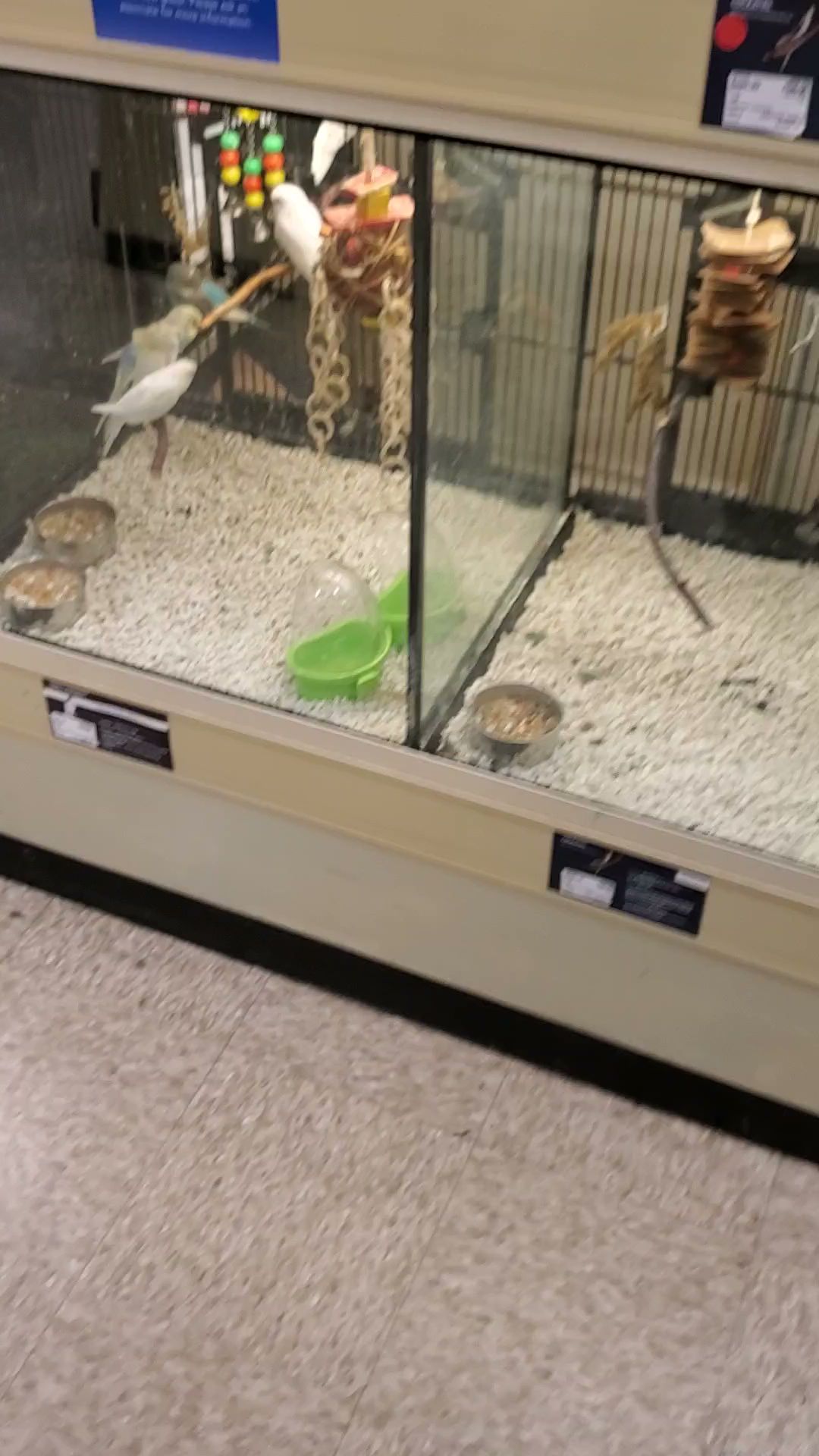 PetSmart