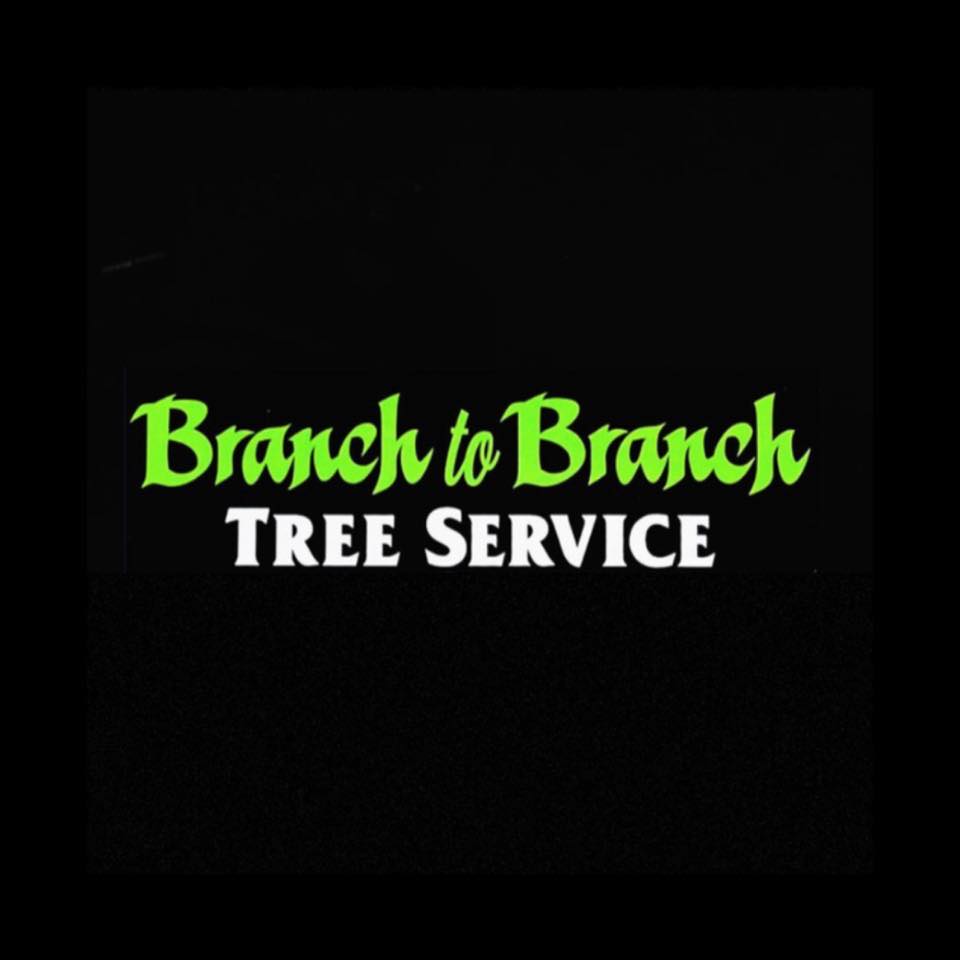 Branch to Branch Tree Service Corporation 637 Wyckoff Ave Suite 382, Wyckoff New Jersey 07481