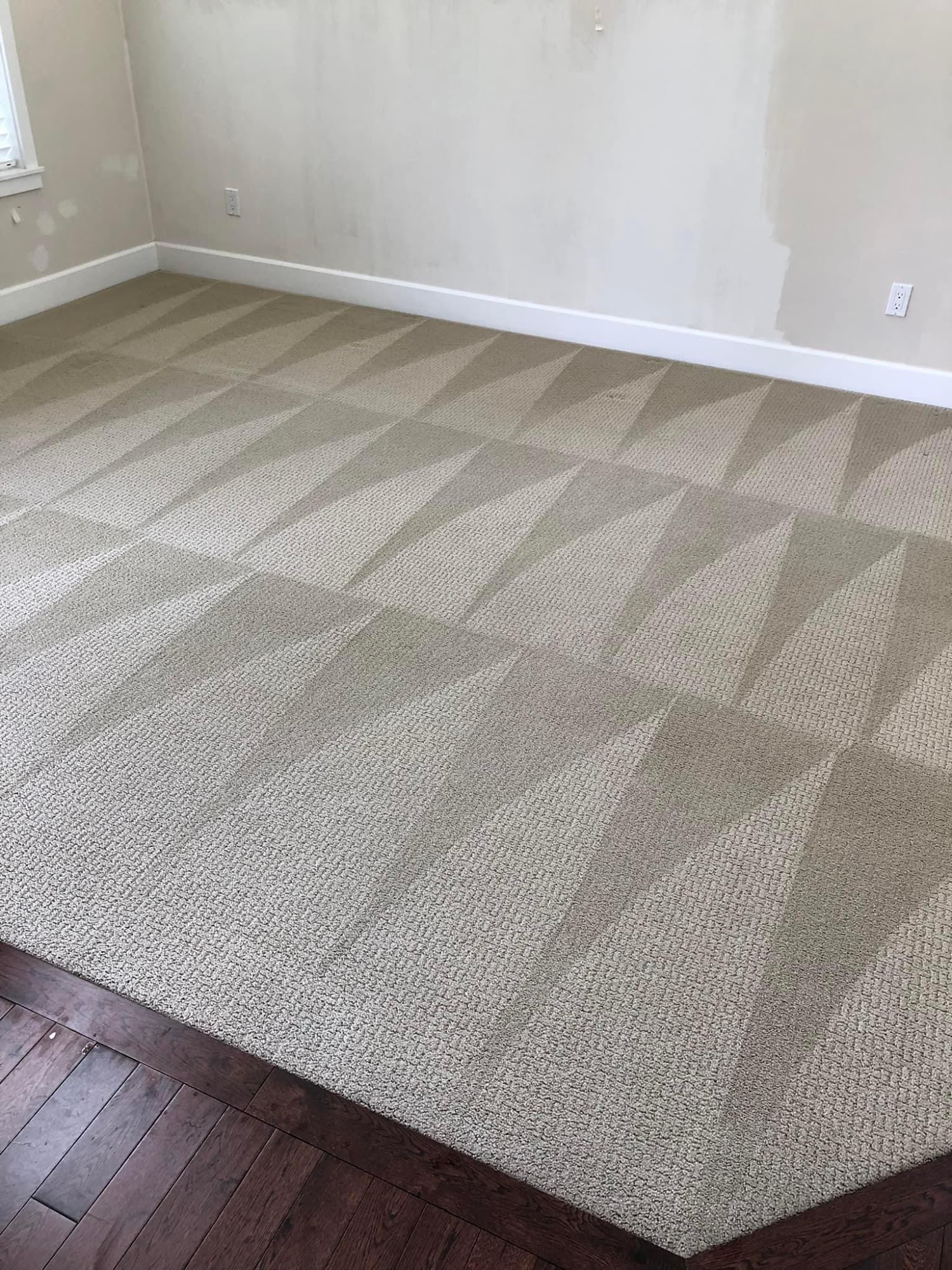 Custom Carpet And Upholstery Cleaning