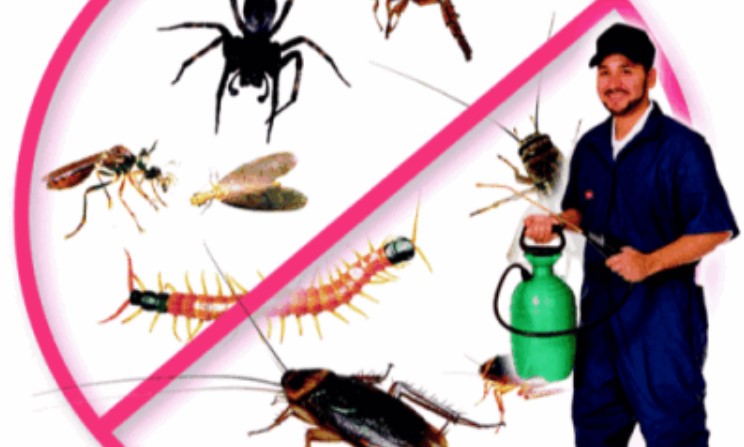 Terminix Pest Control