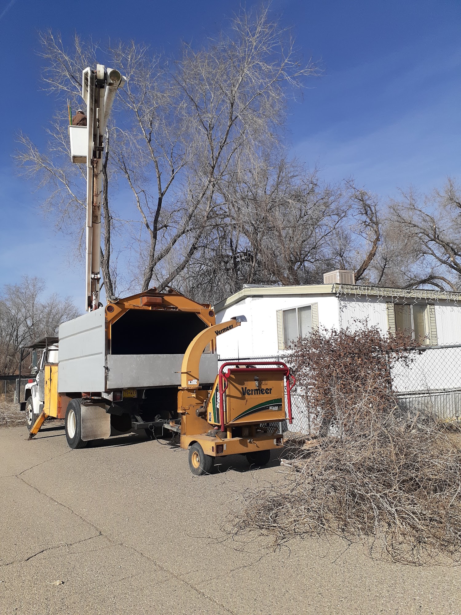 M&S Quality Tree Service LLC 15 Rd 5287, Bloomfield New Mexico 87413