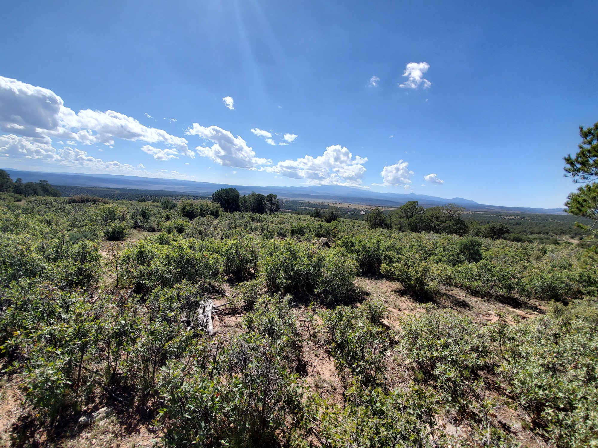 Lone Tree Bible Ranch 132 Base Rd, Capitan New Mexico 88316