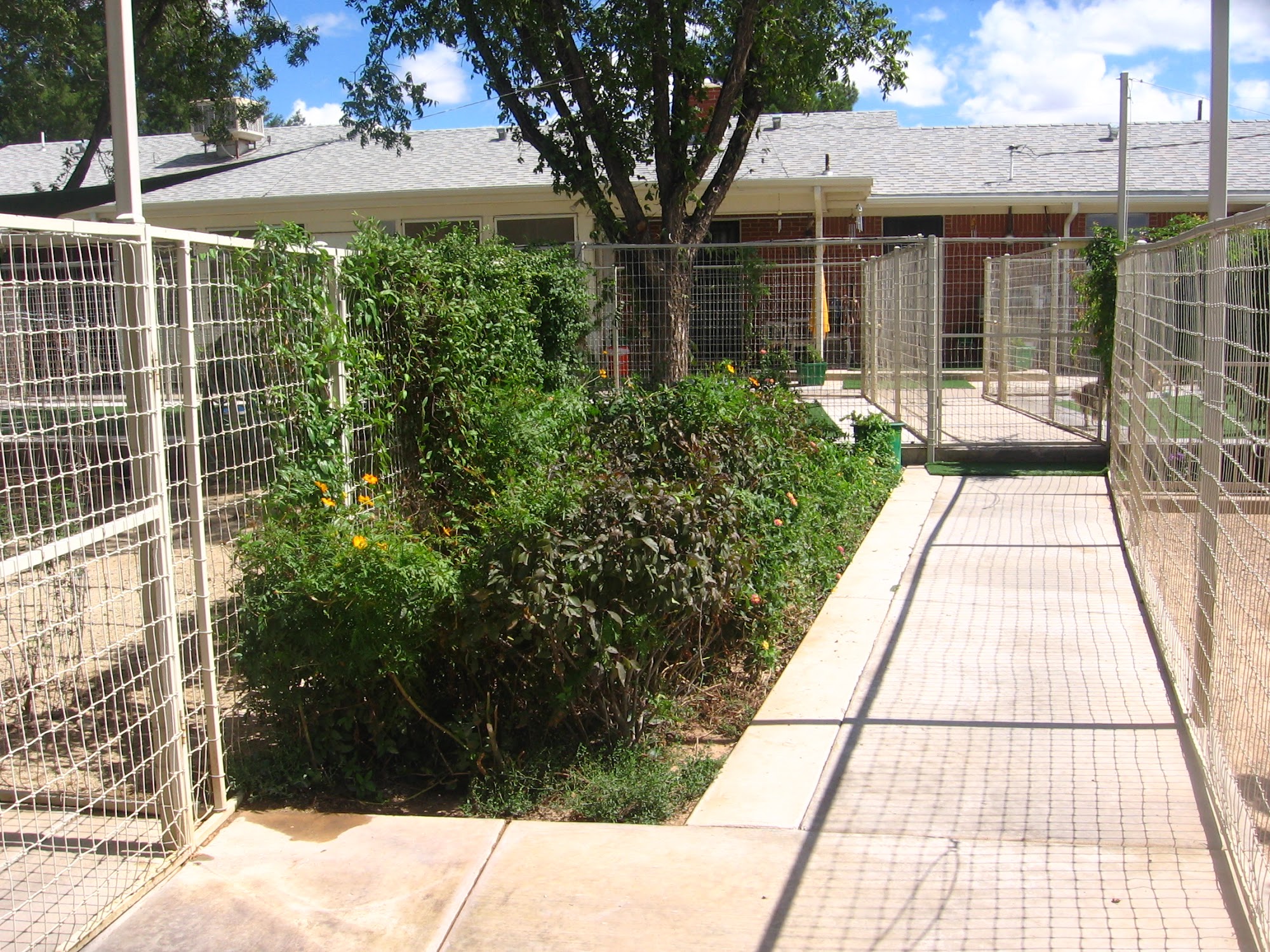 Animal Haven Lodge & Suites Las Cruces