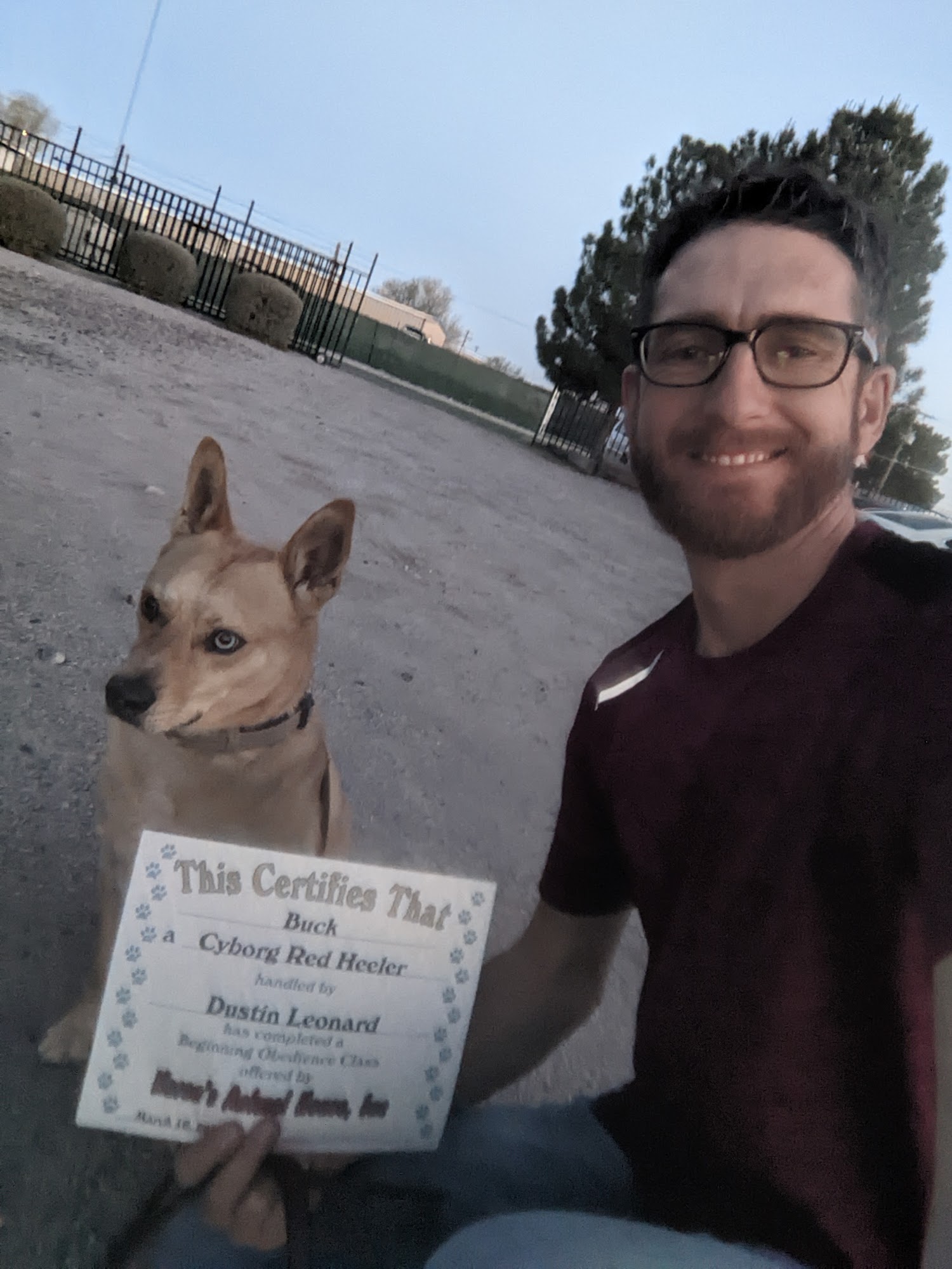 Karen's Animal House Las Cruces