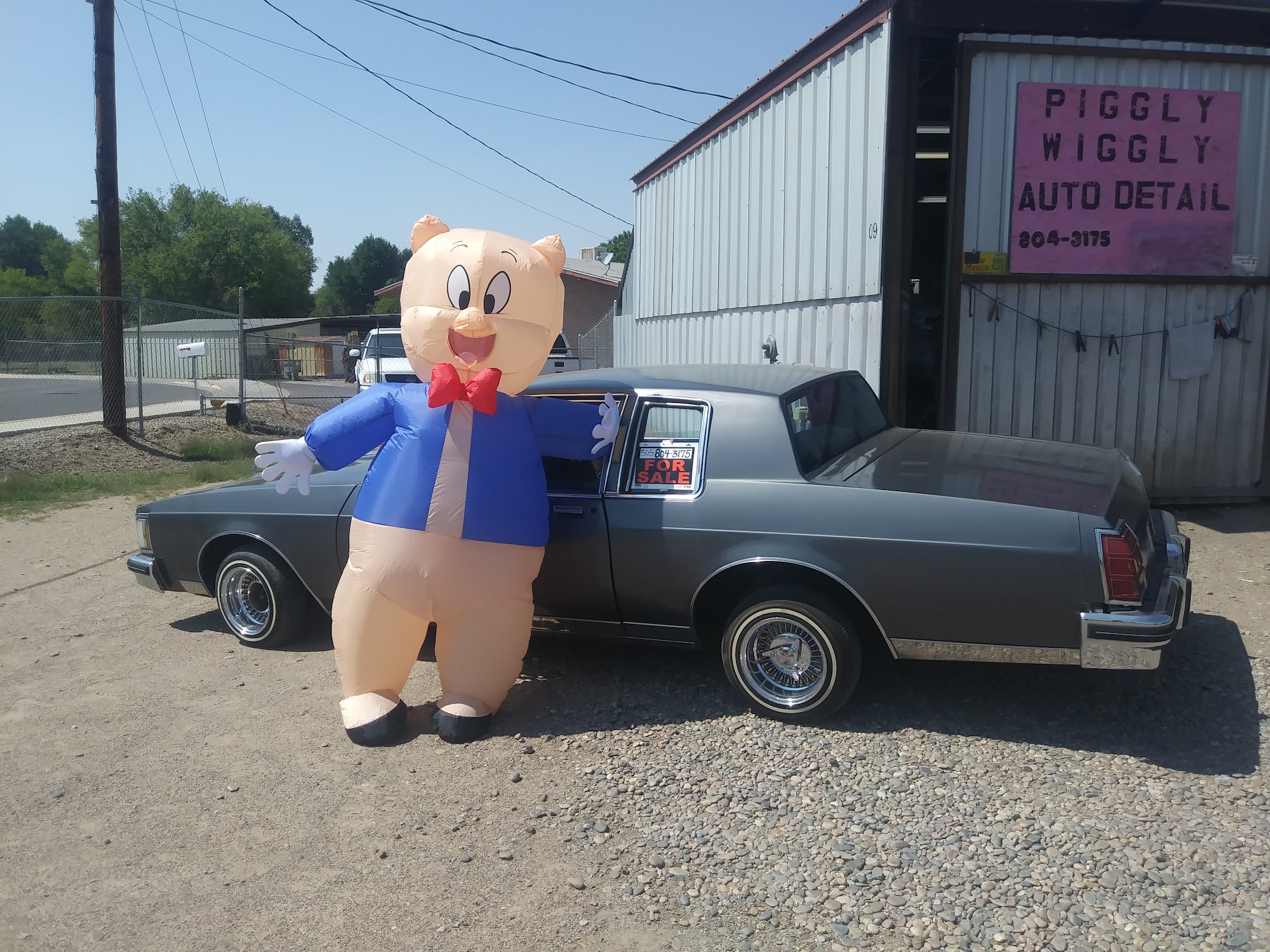 PIGGLY WIGGLY AUTO DETAIL