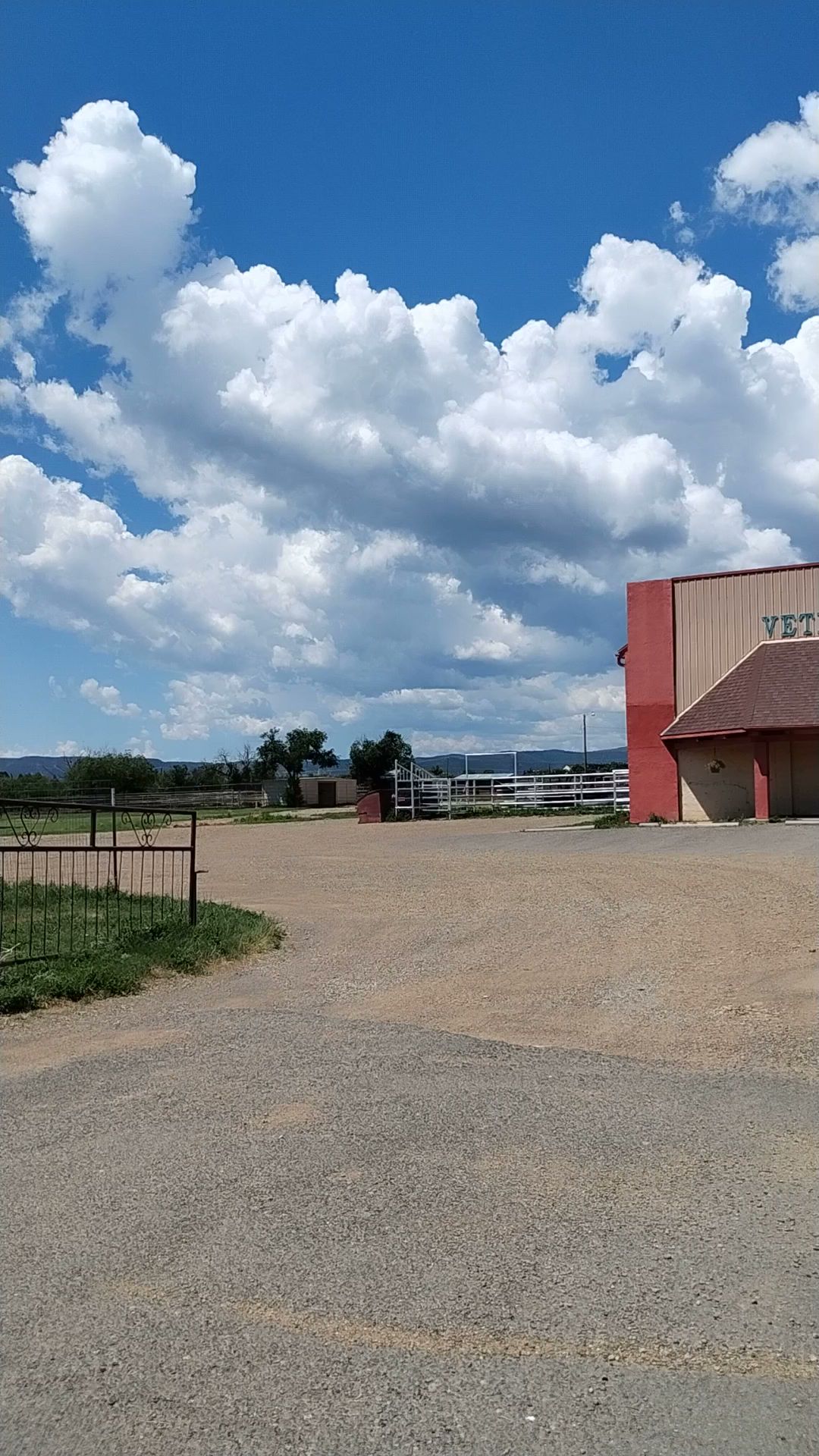 Mesa Vista Veterinary Hospital 1600 S 2nd St, Raton New Mexico 87740