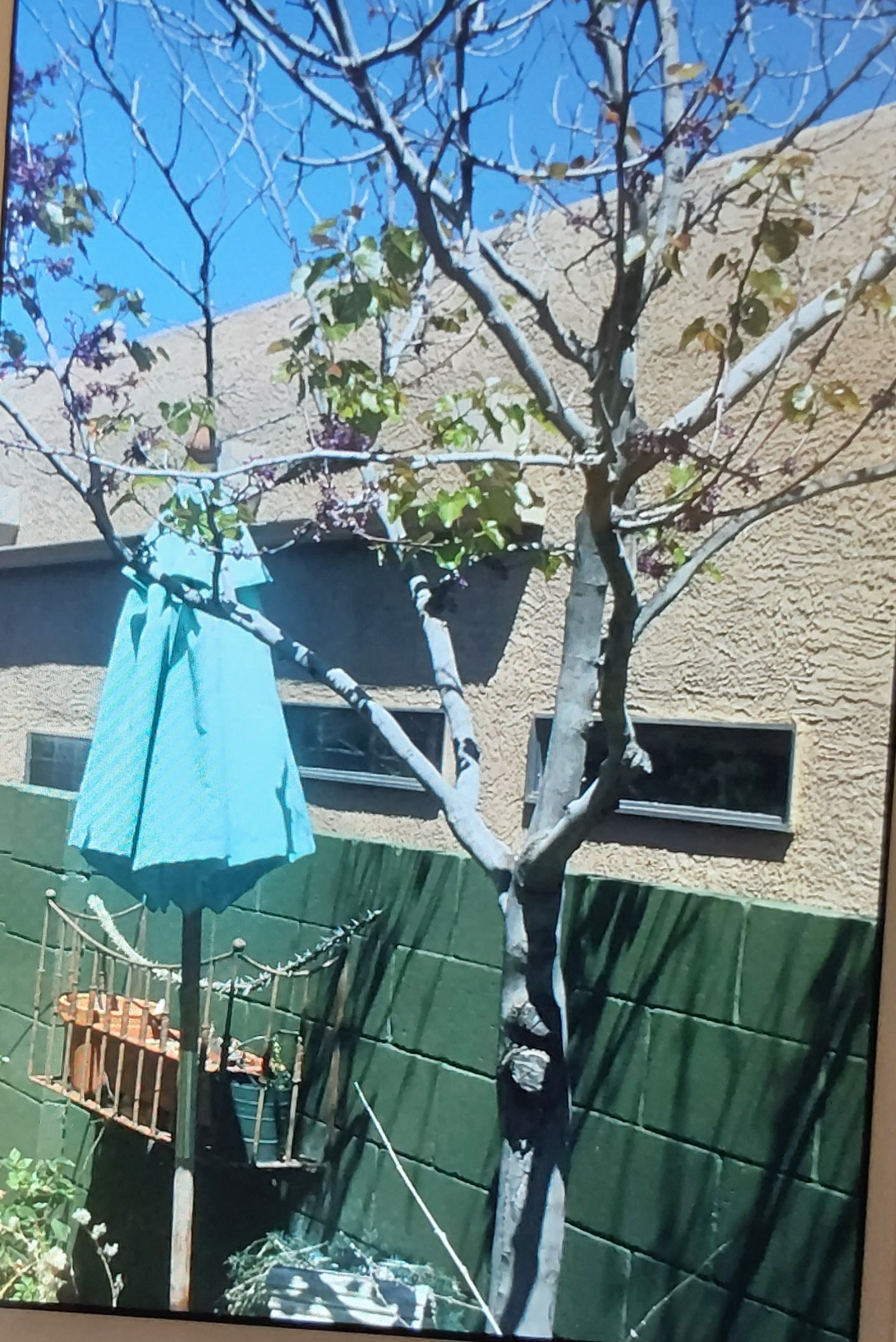 Photo credit: bestprosintown