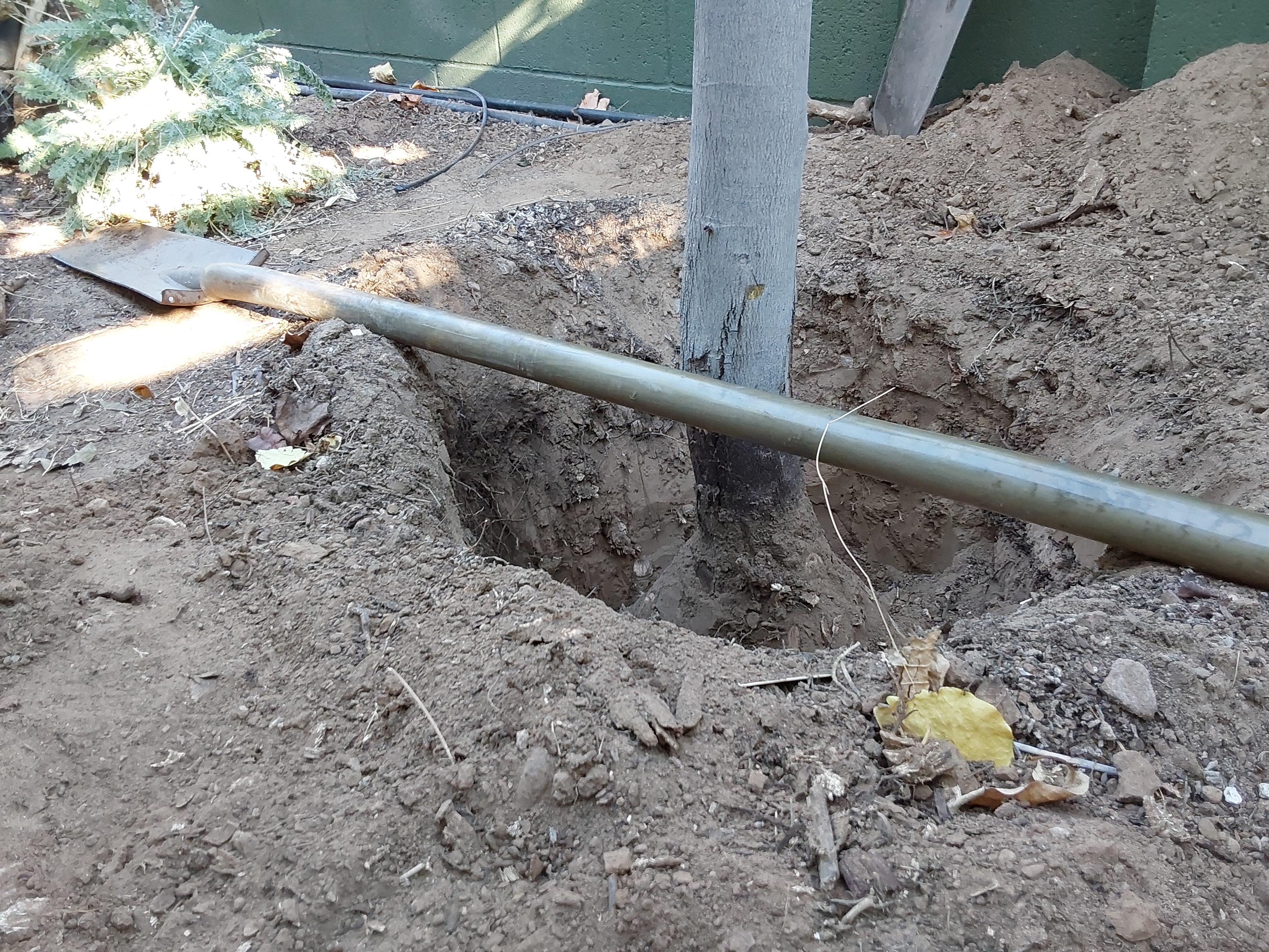 Photo credit: bestprosintown