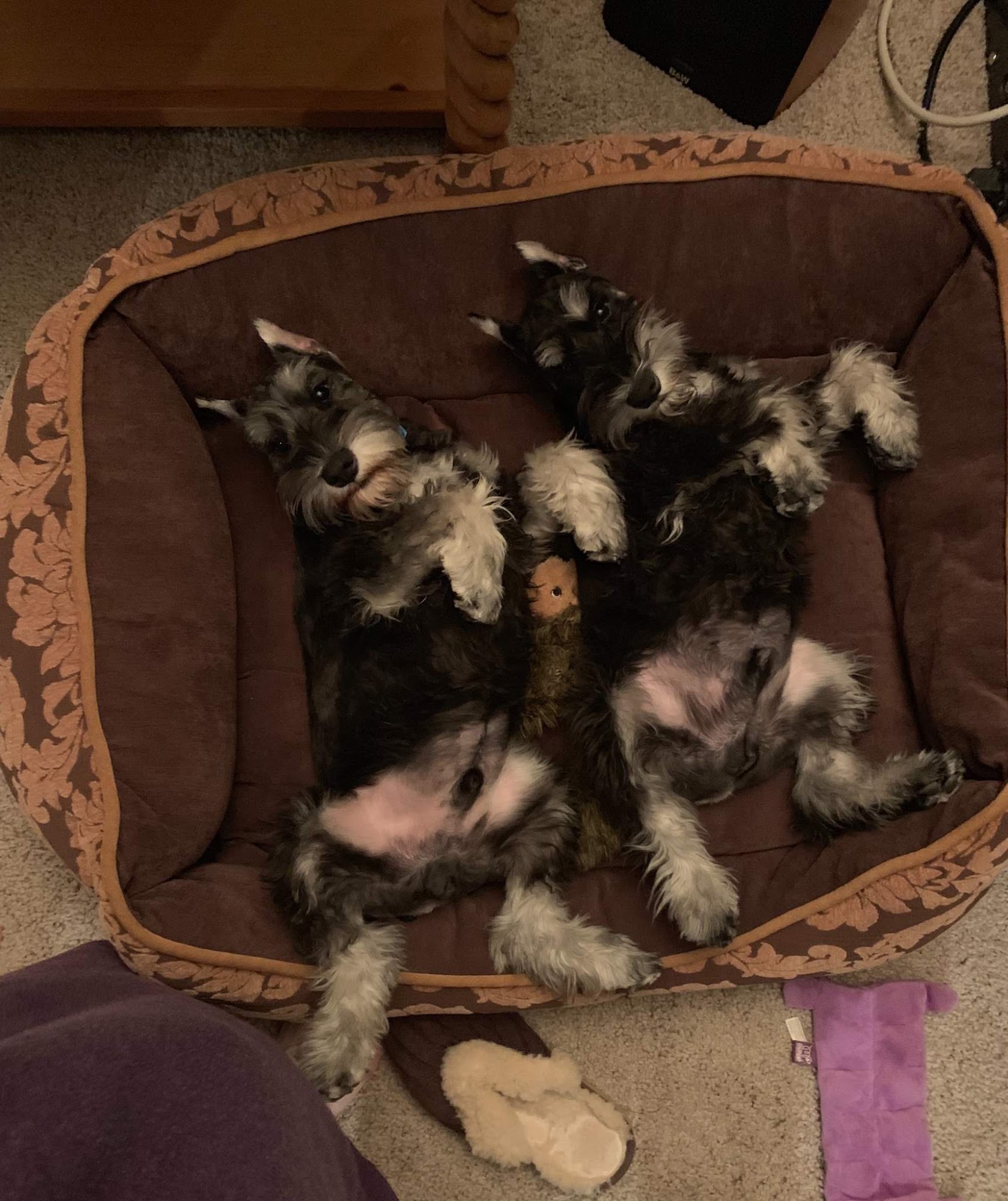 High Plains Clipper, LLC Tijeras