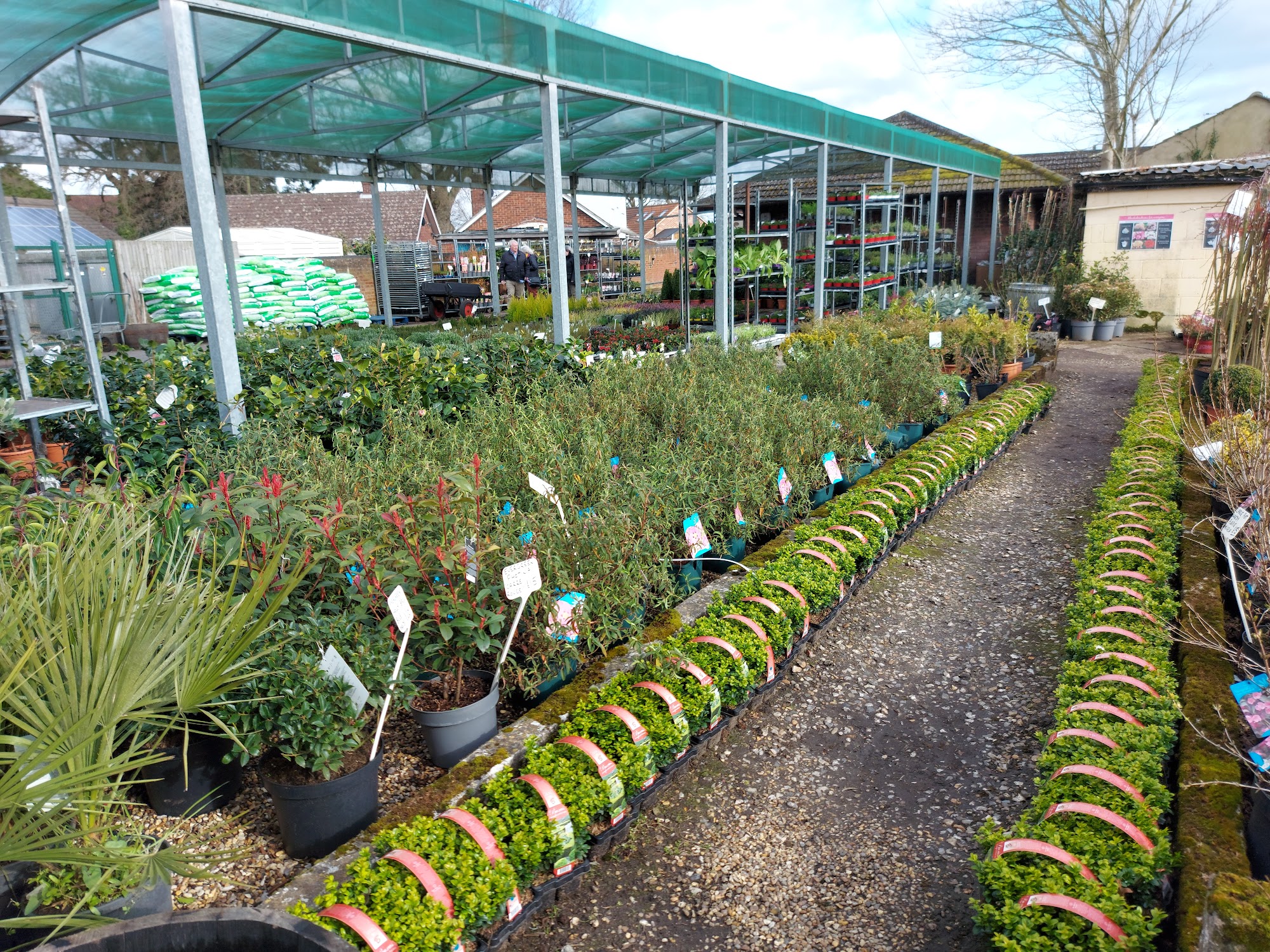 Forsters Garden Centre