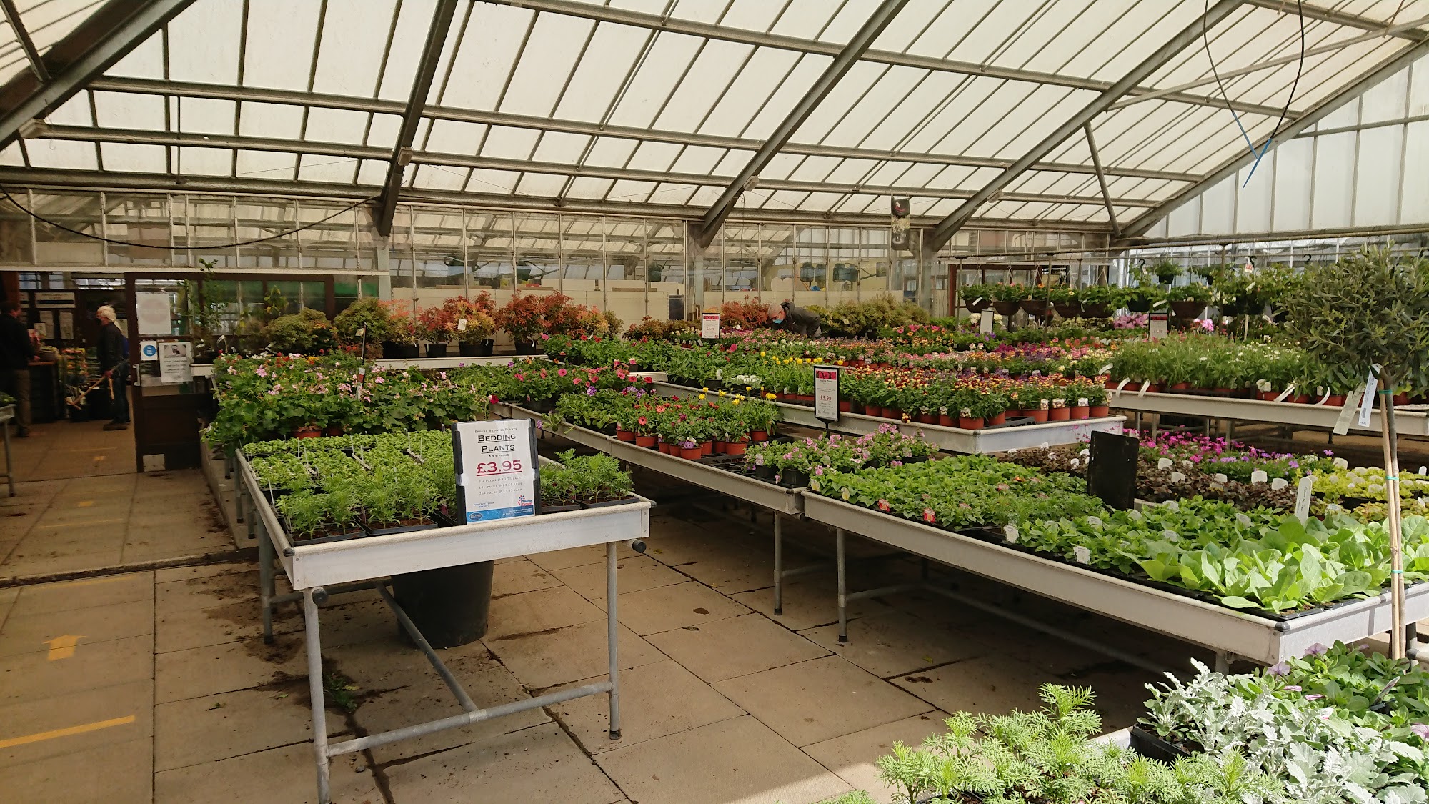 Daleside Nurseries Ltd