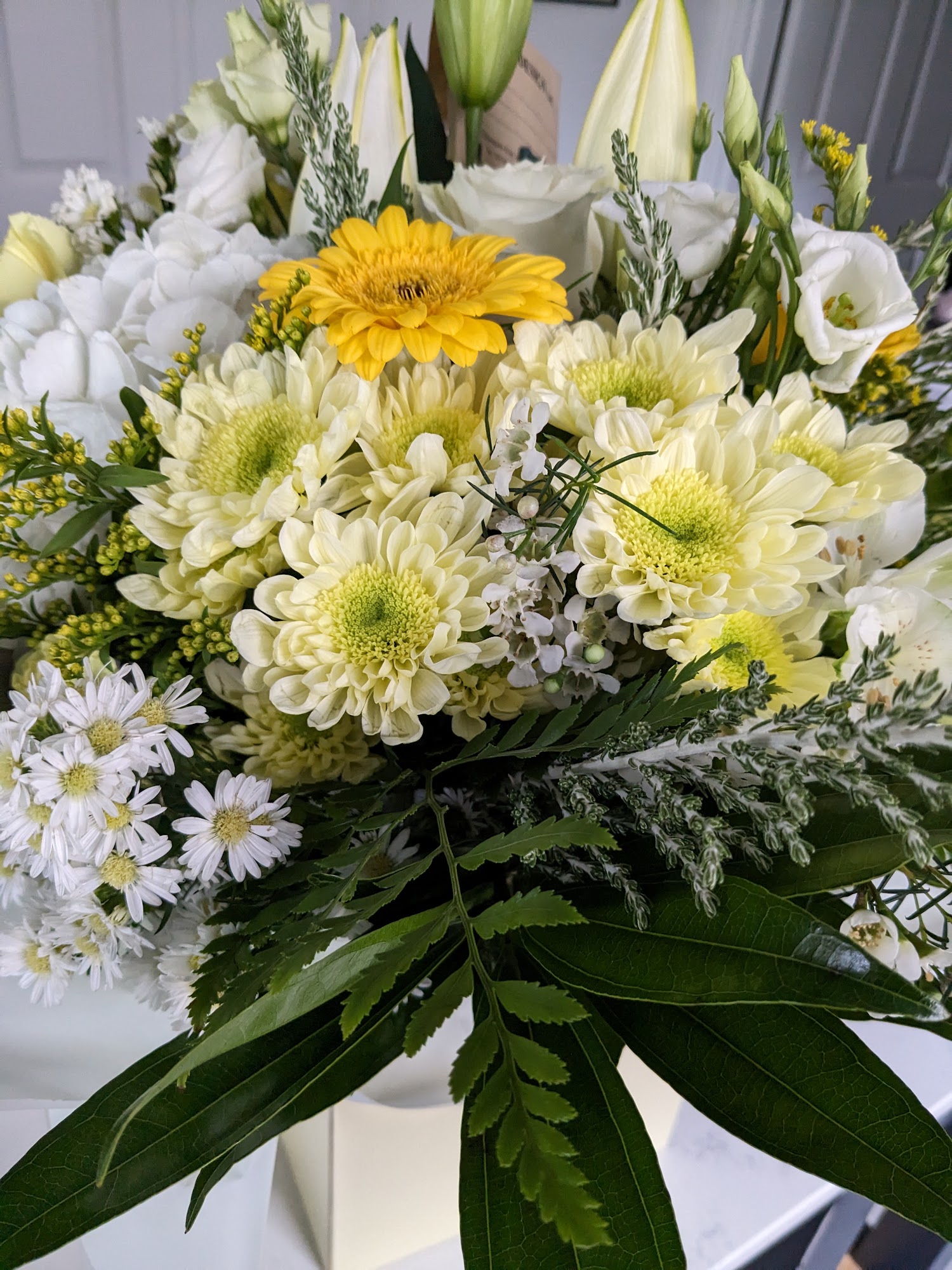 Floral Design Ltd.