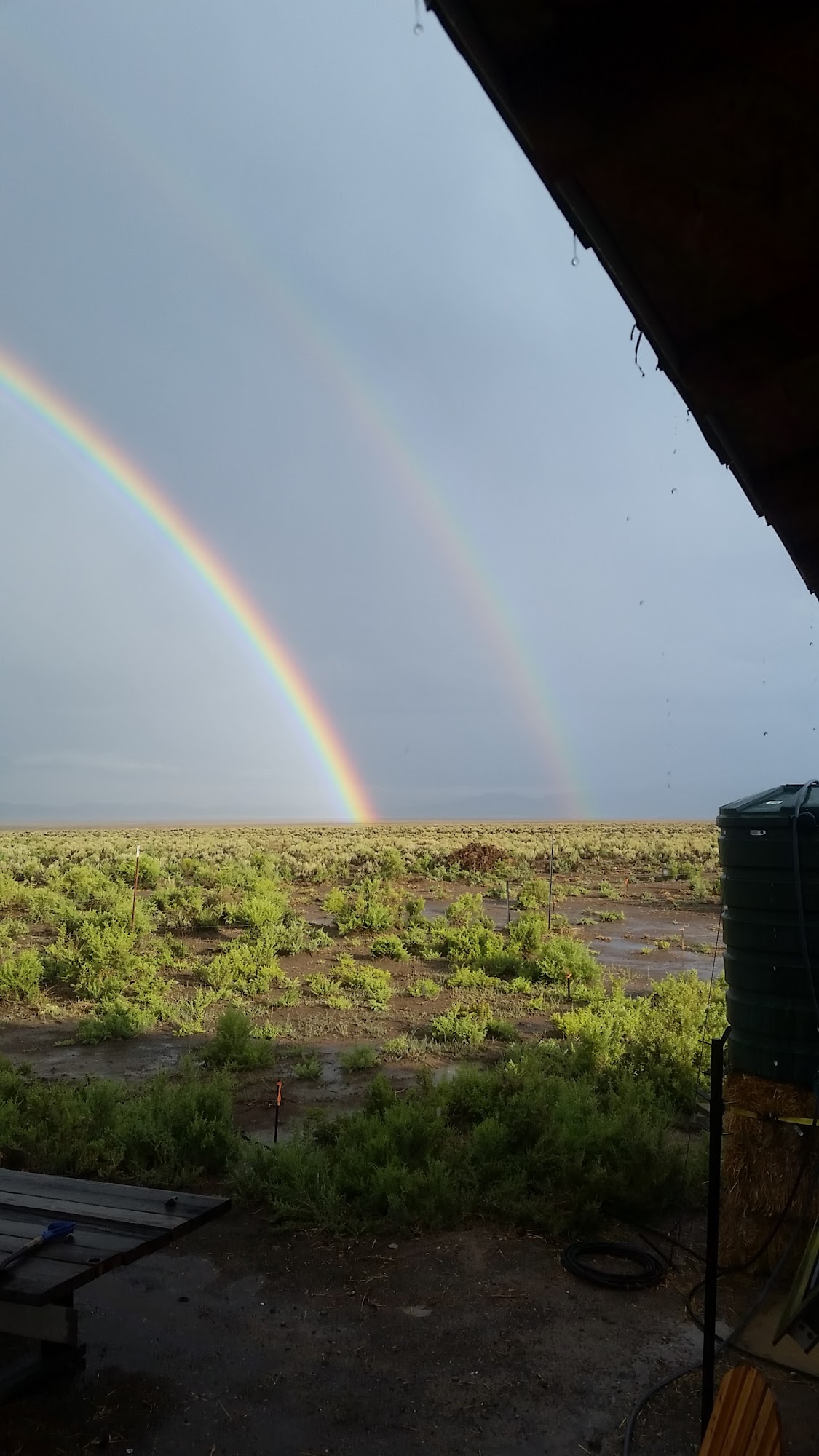 Hot Springs Ranch