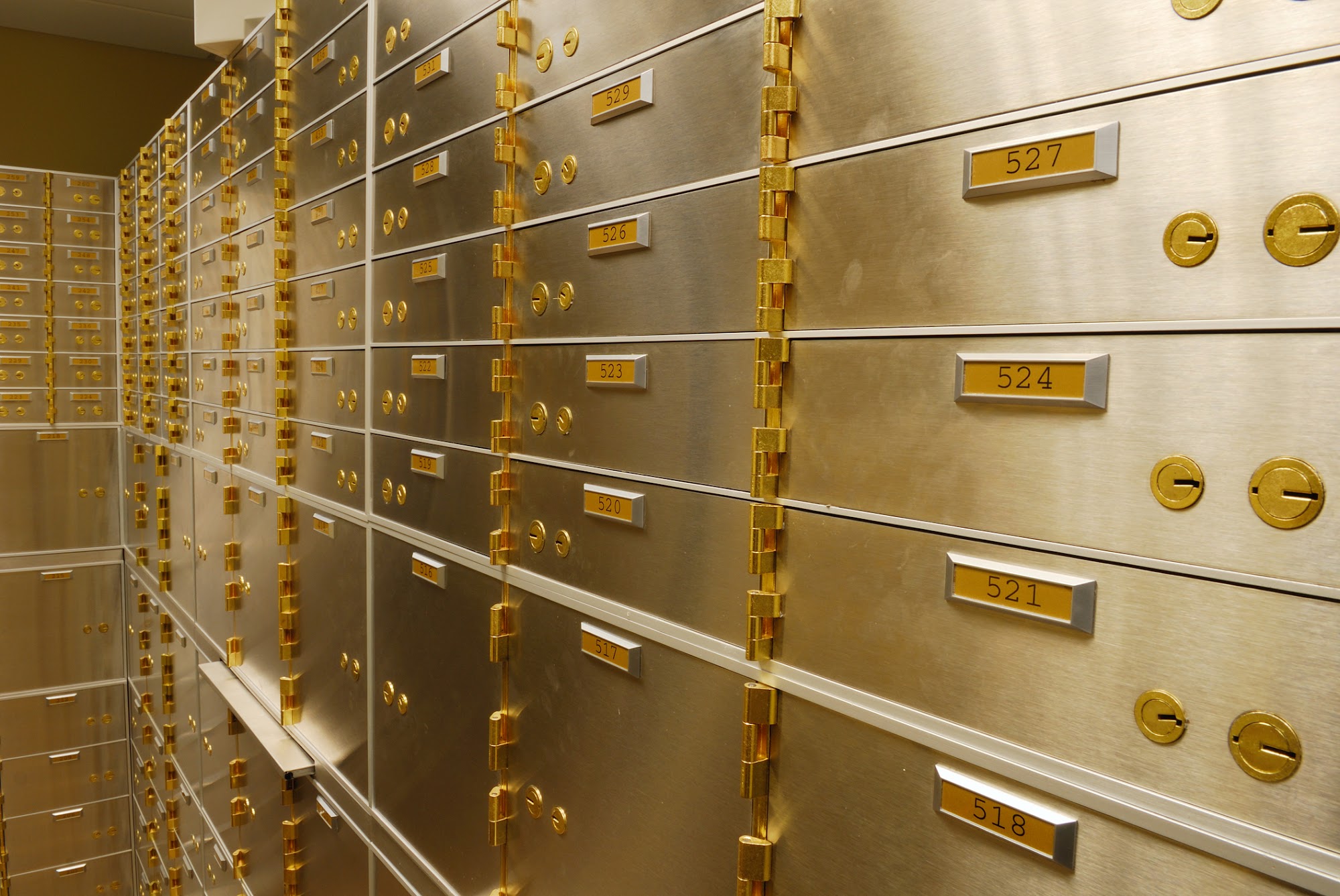 The American Guardian | Safe Deposit Boxes & Private Vaults