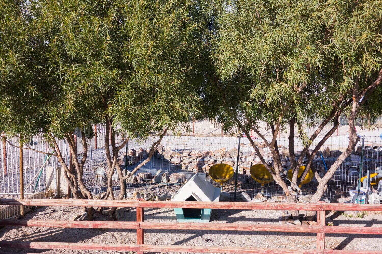 K-9 Kountry Las Vegas