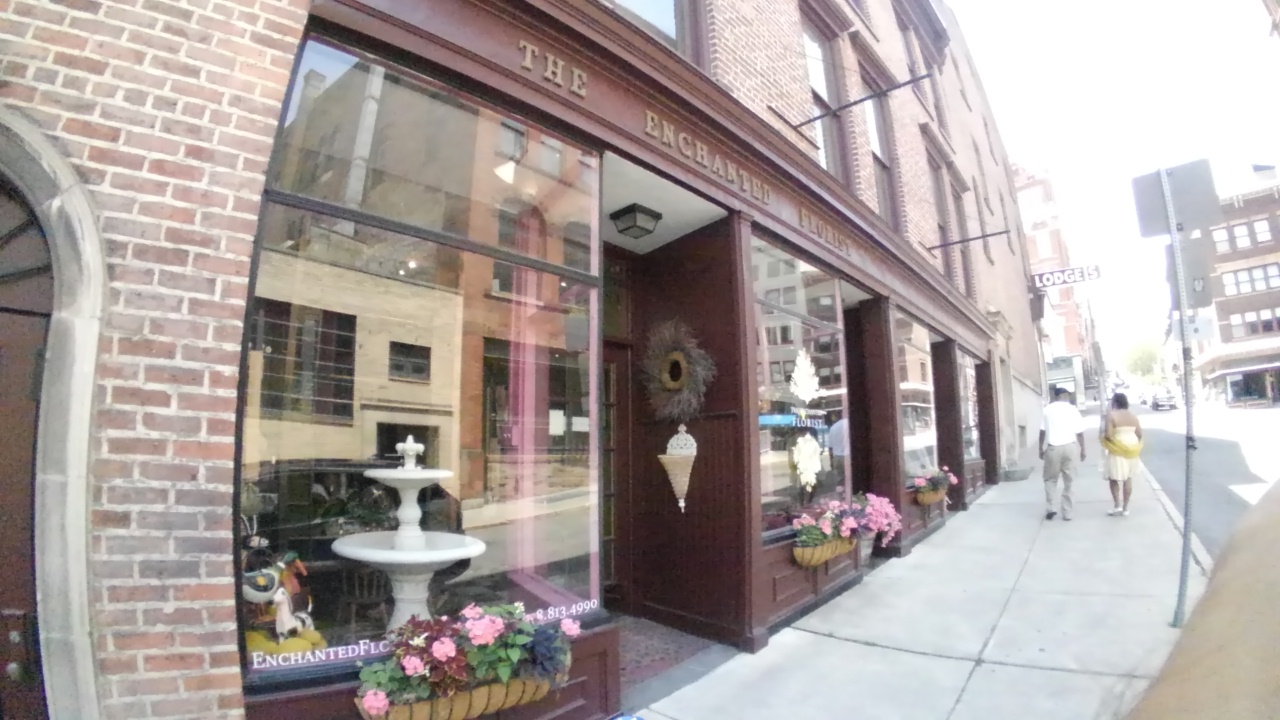 The Enchanted Florist of Albany