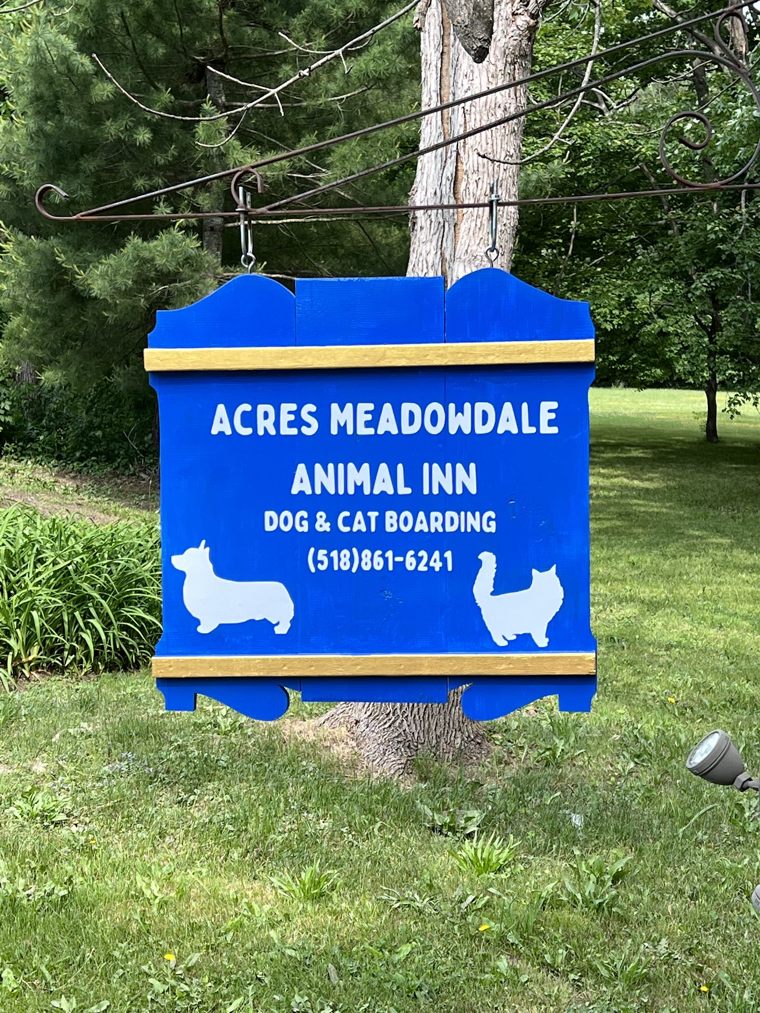 Acres Meadowdale Animal Inn Altamont
