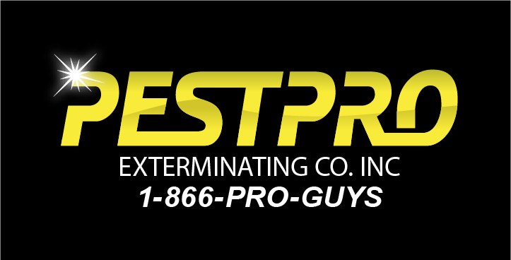 Pest Pro Exterminating