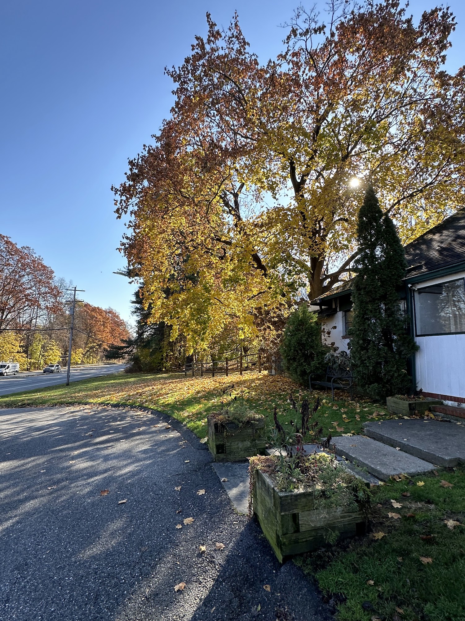 Brewster Veterinary Hospital