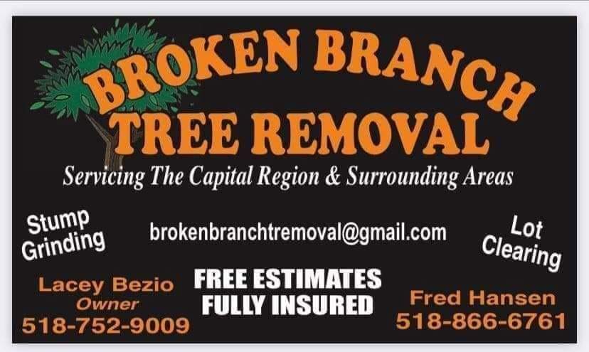 Broken Branch Tree Removal 141 Honeywell Corners Rd, Broadalbin New York 12025