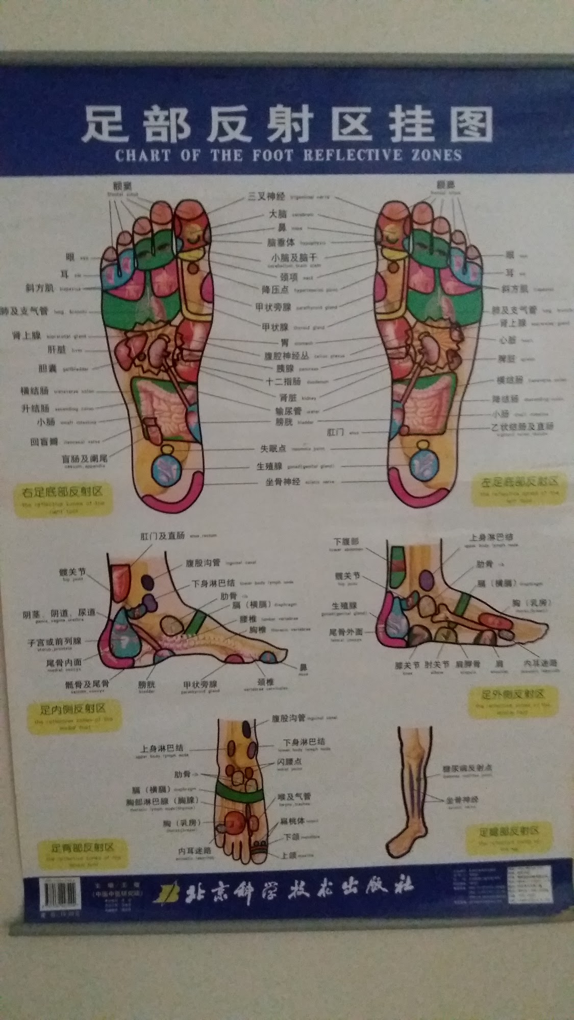 Chinese Reflexology Spa Inc