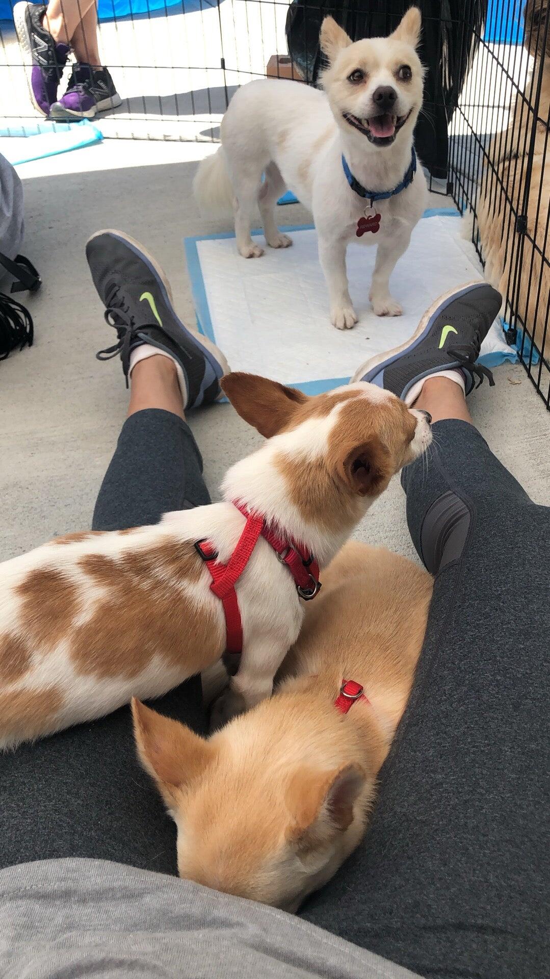 Photo credit: nextdoor