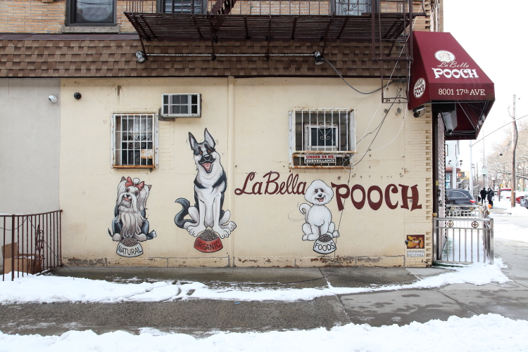 La Bella Pooch Dog Training and Grooming Brooklyn