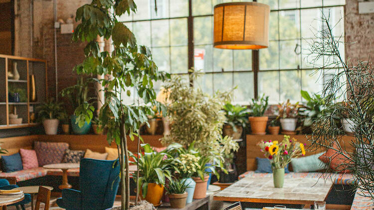 Photo credit: timeout