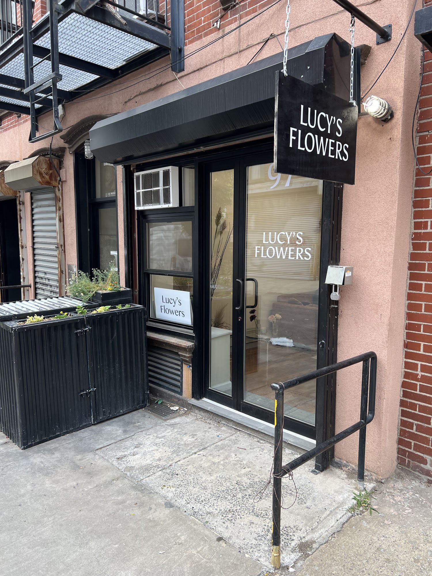 Lucy's Flowers