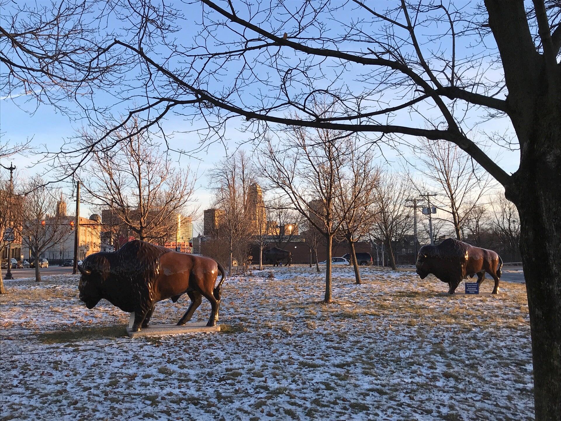 Photo credit: nextdoor