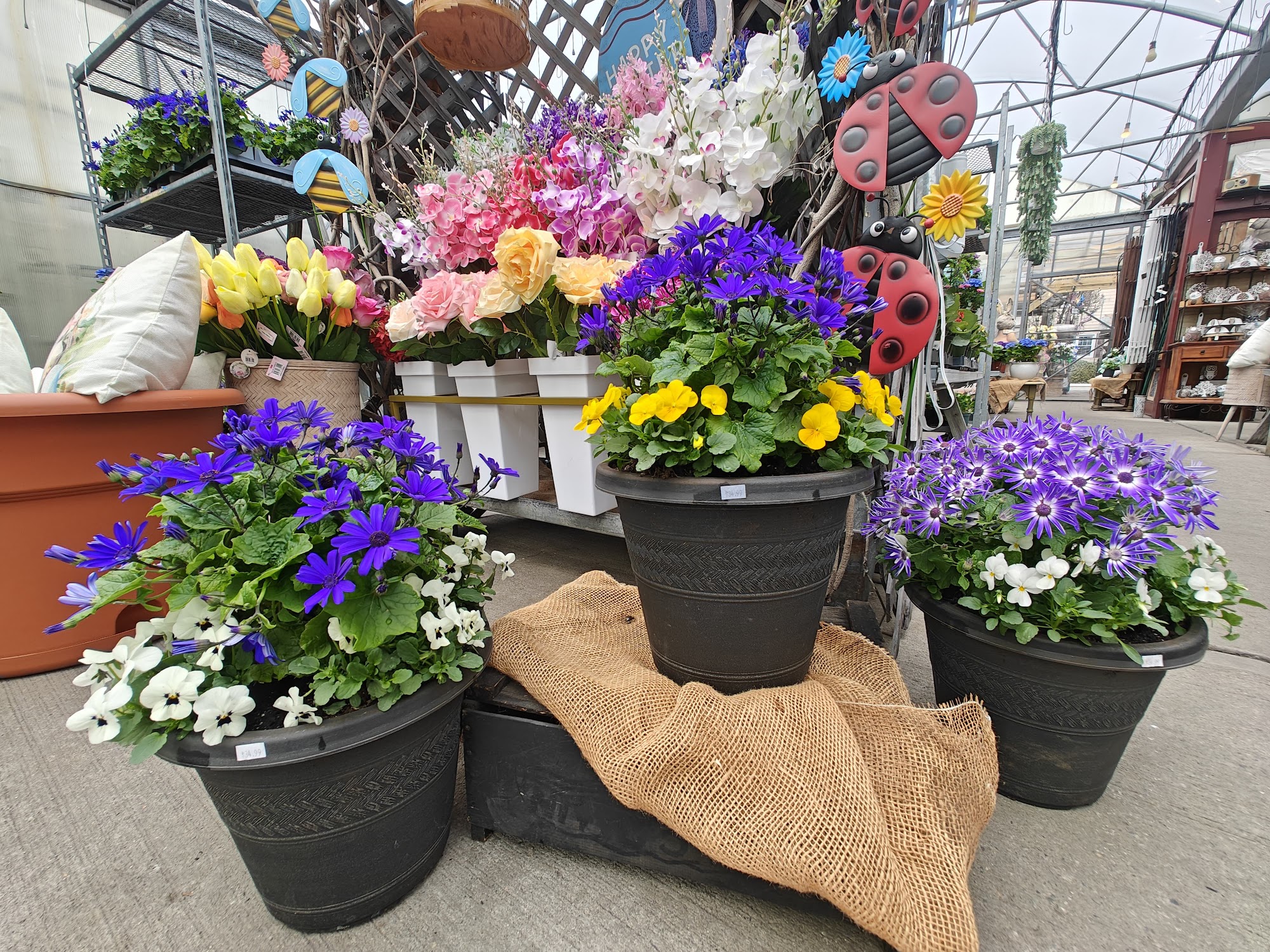 Lily's Carle Place Garden Center 542 Westbury Ave, Carle Place New York 11514