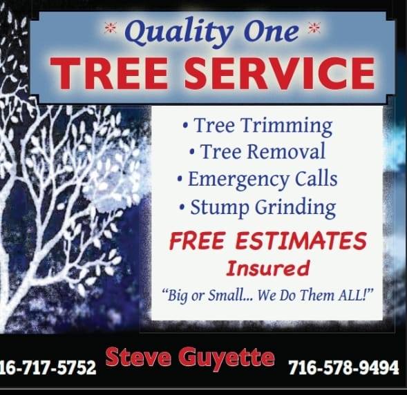 Quality one tree service