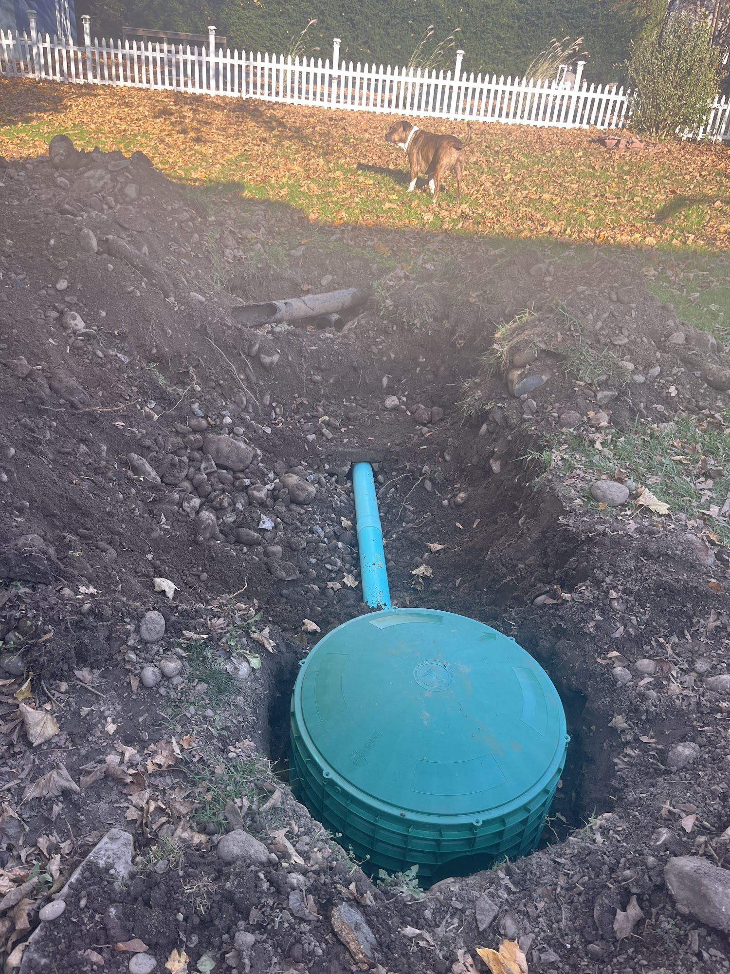 A-1 Quality Septic & Drain 2503 Duanesburg Rd, Duanesburg New York 12056