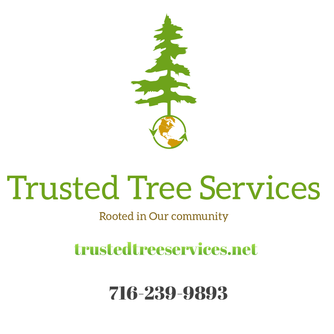 Trusted Tree Services 9260 Transit Rd #4, East Amherst New York 14051